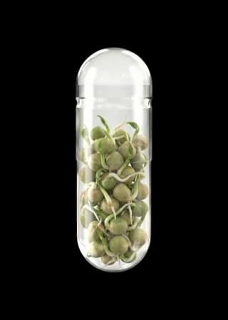 Gekeimtes Erbsensamenextrakt (AnaGain™ Nu)