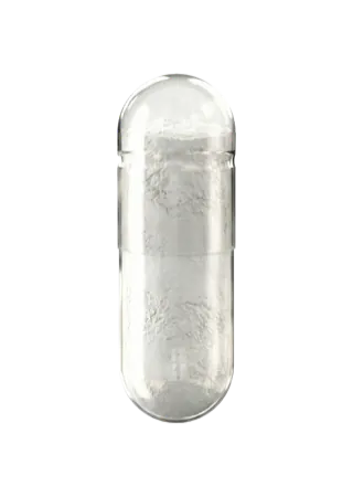 L-Lysine
